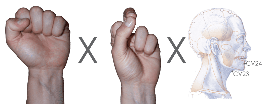 Source: Tobar 2002, Brain Formatting The Limbic Format, which uses the Finger Modes for Anatomy and Gland, and the Acu-points CV23 and CV24.